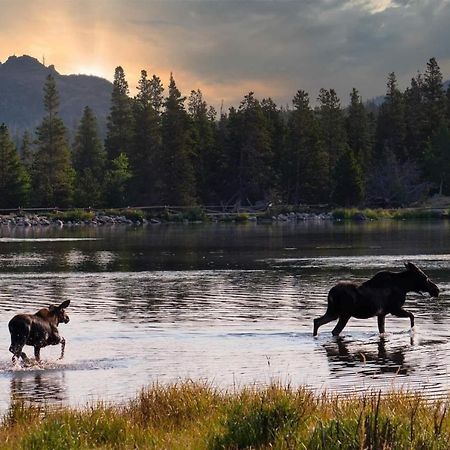 Tranquility On The River Four -- Ev #6041 Townhouse Estes Park Bagian luar foto