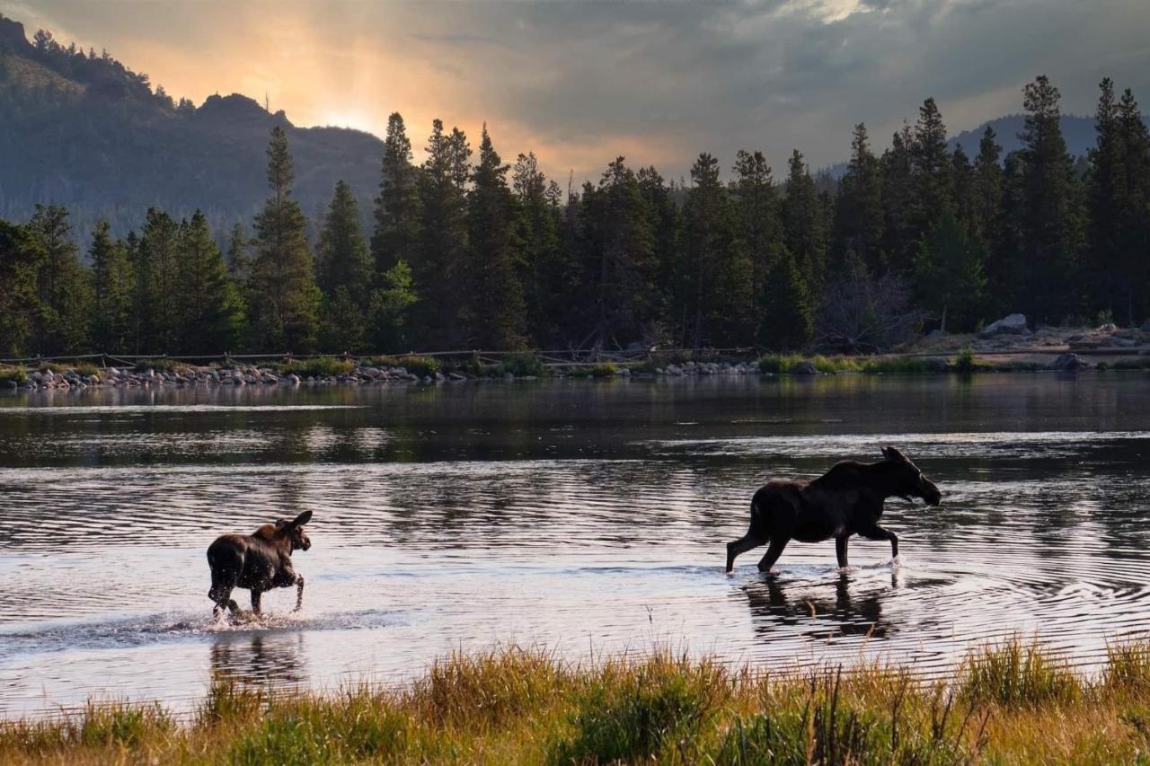 Tranquility On The River Four -- Ev #6041 Townhouse Estes Park Bagian luar foto